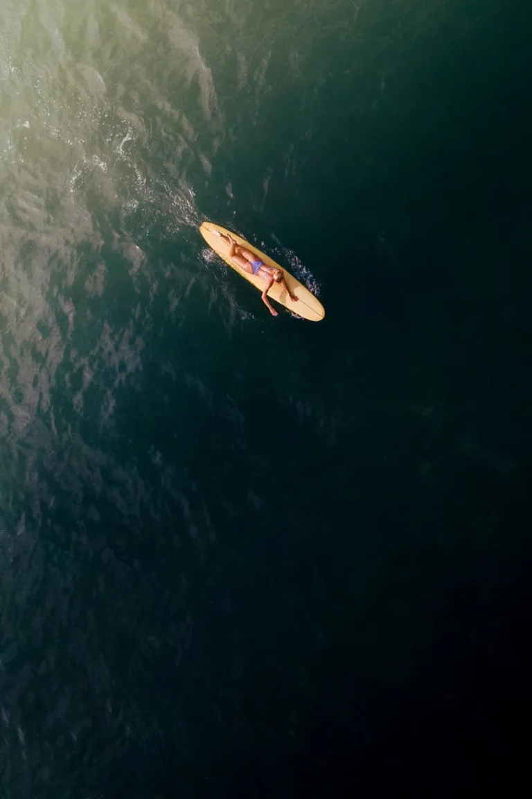 an aerial shot of a woman surfing on the sea